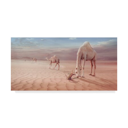 Trademark Fine Art Sulaiman Almawash 'Camels Trip' Canvas Art, 12x24 1X06748-C1224GG